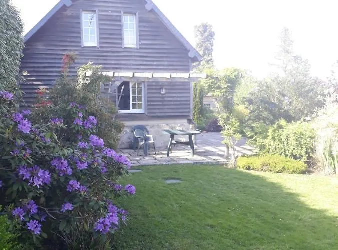 'les Matins Calmes '