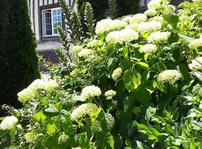 Σπίτι διακοπών 'les Matins Calmes '